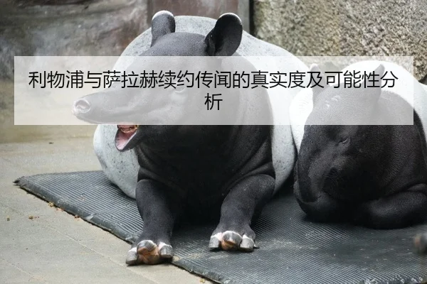 利物浦与萨拉赫续约传闻的真实度及可能性分析